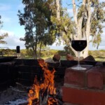 a glass of wine and a barbeque