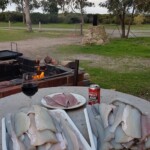 fresh fish and some refreshments