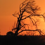 another sunset