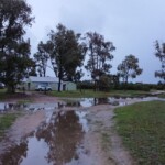 damp view of the track