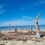 remains of old jetty at Foul Bay